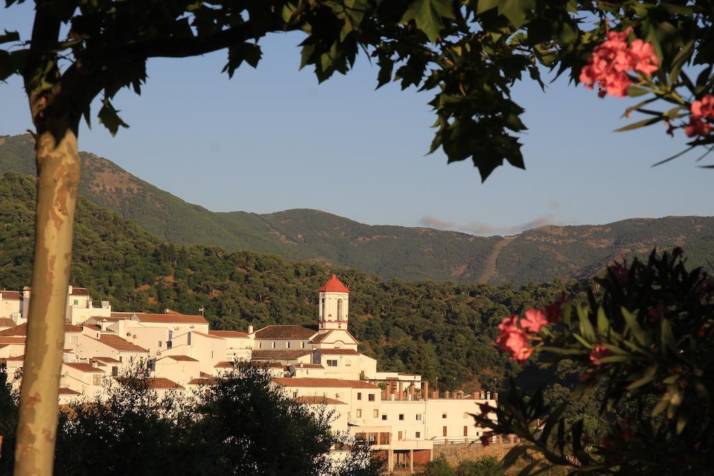 Casas Rurales Jardines Del Visir Genalguacil Cameră foto