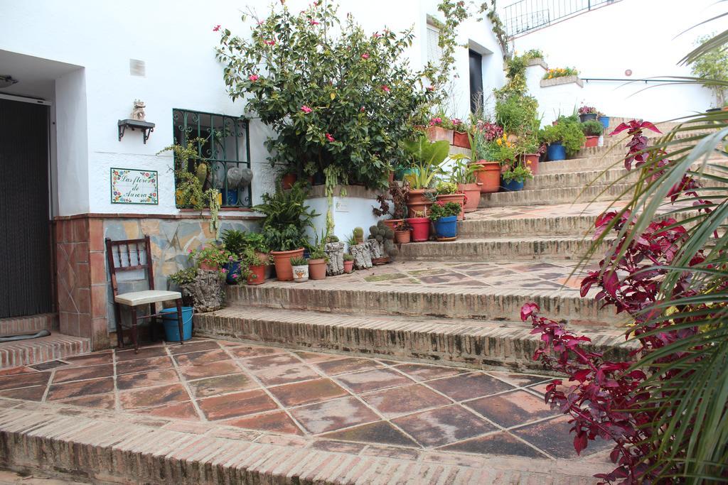 Casas Rurales Jardines Del Visir Genalguacil Exterior foto
